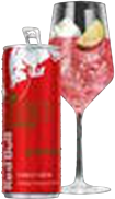 Watermelon Spritz